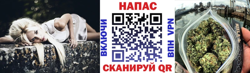 Каннабис сатива  даркнет сайт  Маркс 